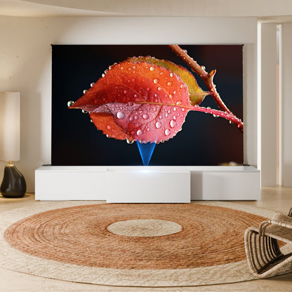 PerfecTisan  Laser TV Cabinet 100/120inch Smart Invisible Home Cinema Cabinet for UST Laser 4K Projector